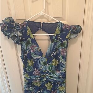 Floral Blue Dress with Ruffle Sleeves